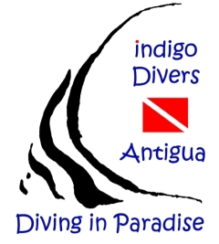 Indigo Divers Antigua