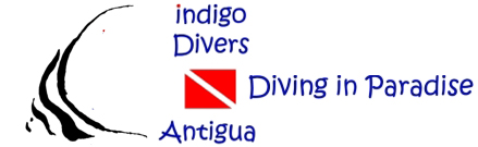 Indigo Divers Antigua